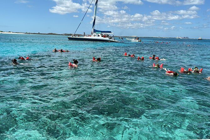 Catamaran Snorkel & Beach Day with Turtles - Green Cay Sanctuary Turtle Spotting: The Moment Most People Remember
