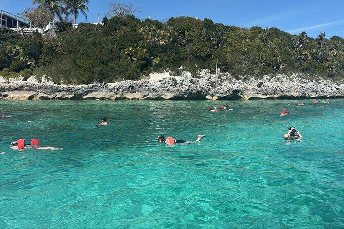 Catamaran Snorkel & Beach Day with Turtles - Atholl Island Snorkel: 30 Minutes of Reef Time (Plus Helpful Staff)
