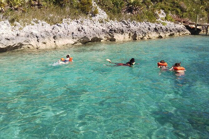 Catamaran Snorkel & Beach Day with Turtles - What’s Included in the Price (and What You’ll Pay For Elsewhere)
