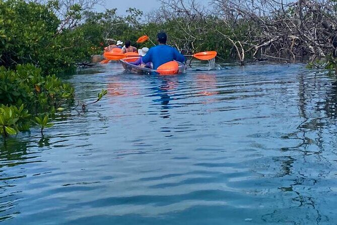 Clear Kayak Tour - Starting at Port Lucaya: getting to the Sea Horse Rd meeting point