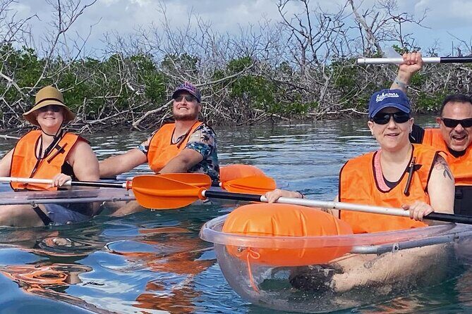 Clear Kayak Tour - Mangrove creek paddling: the underwater viewing part that sells the experience