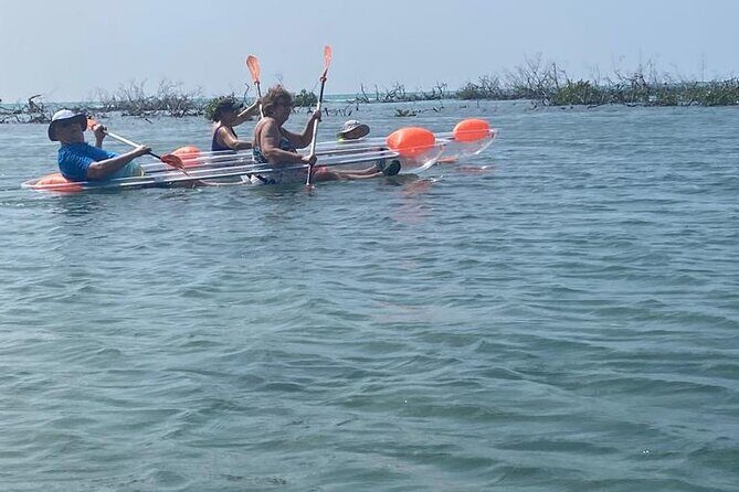 Clear Kayak Tour - Price and value: is $120 per person a fair deal?