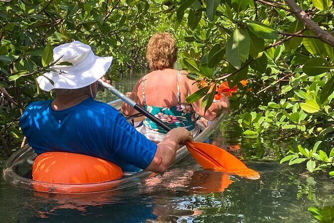 Clear Kayak Tour - Who this tour is best for on Grand Bahama