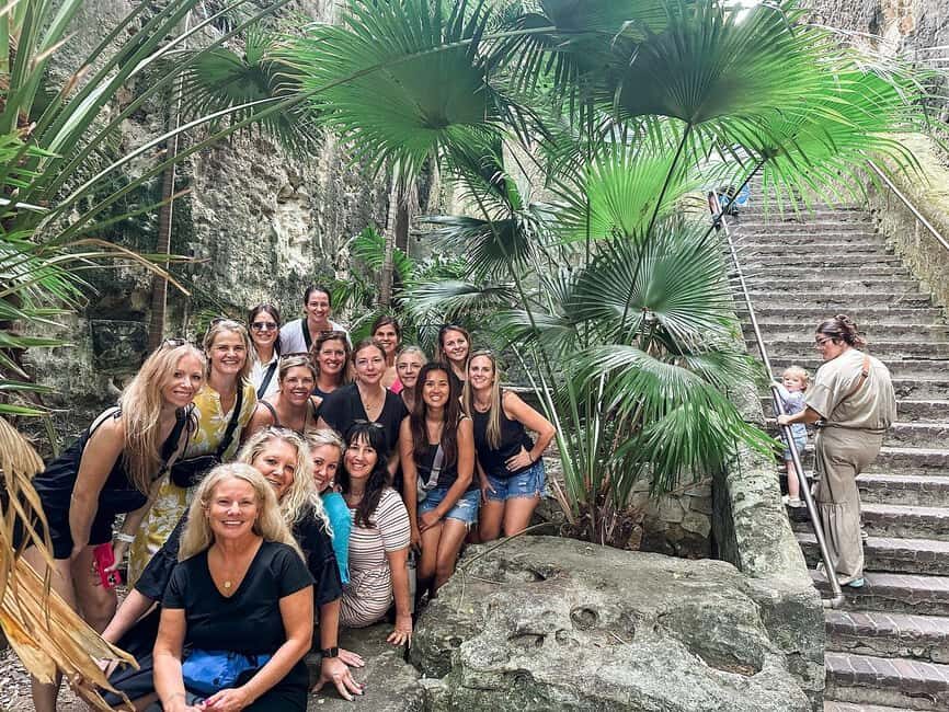 Customizable half day group tour (price per vehicle) - Quick hits you’ll care about