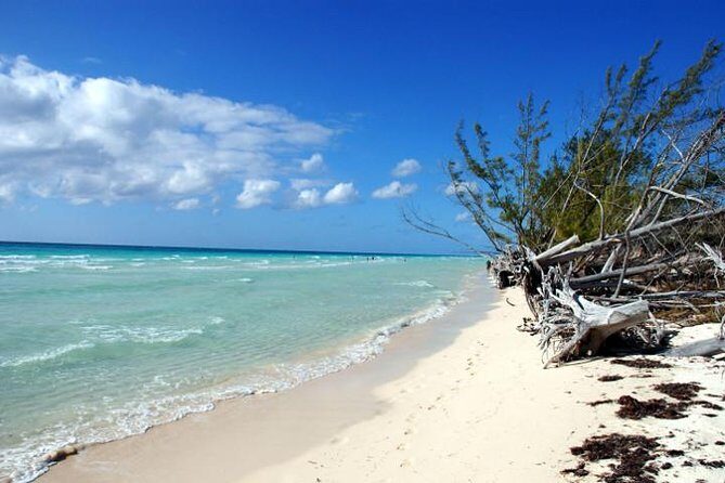East End Private Day Trip Experience Tour - Key highlights to look for