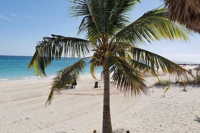 East End Private Day Trip Experience Tour - Lucayan National Park: boat tour + Gold Rock Beach picnic