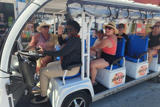 Electric Bus tour of Nassau with sampling of local food & drinks - Quick takeaways