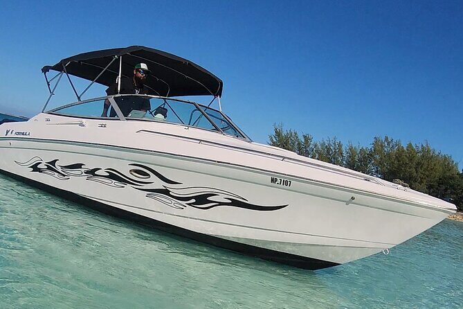 Exotic half day private charters to Rose Island, Pigs and Turtles - The Harbor Cruise Around Nassau: Quick Views, Real Vacation Energy