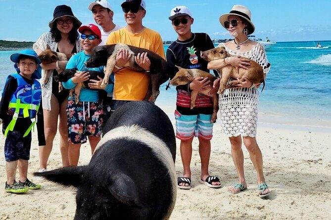 Exotic half day private charters to Rose Island, Pigs and Turtles - Rose Island Time: Beach Relaxing Plus Snorkel Gear Included