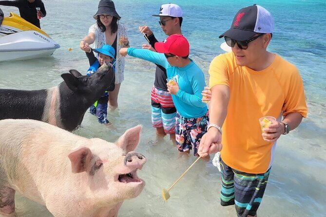 Exotic half day private charters to Rose Island, Pigs and Turtles - Onboard Food and Drinks: Snacks, Unlimited Bahama Mama’s, and Water