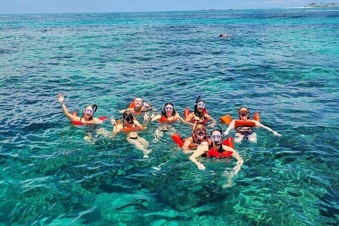 Exotic half day private charters to Rose Island, Pigs and Turtles - Getting There: From Elizabeth on Bay to the Boat at Bayshore Marina