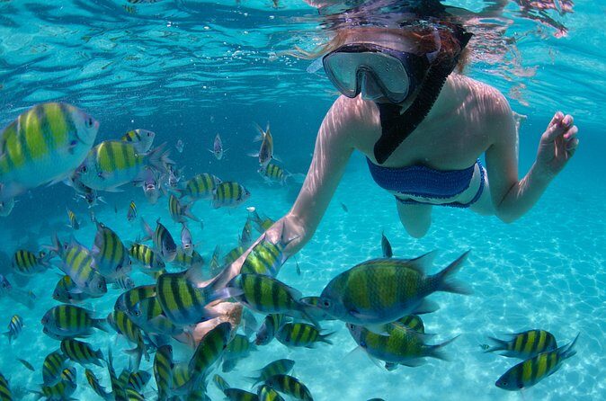 Freeport Snorkeling Peterson Cay National Park and Hotel Day Pass - The Viva Wyndham day pass: turning snorkeling into real resort time