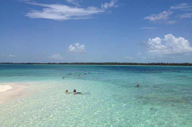 Freeport Snorkeling Peterson Cay National Park and Hotel Day Pass - Practicalities for your Freeport snorkeling day: timing, what to pack, and who it suits