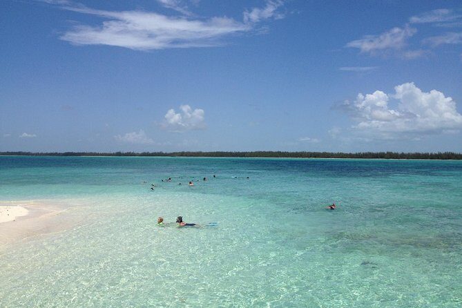 Freeport Snorkeling Peterson Cay National Park and Hotel Day Pass - Should you book this Freeport snorkeling + day pass?