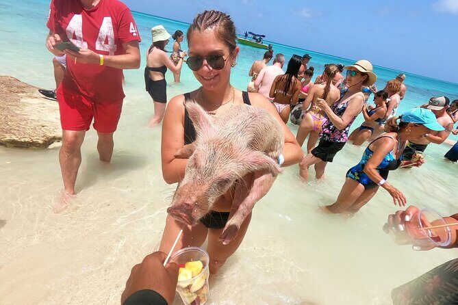 Full-Day Luxury Private Rose Island Pigs and Turtles Excursion - Key highlights worth knowing before you go