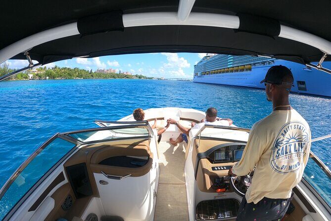 Full-Day Luxury Private Rose Island Pigs and Turtles Excursion - The Nassau Harbour sightseeing run: Forts, hotels, and the “I’ve seen that” factor