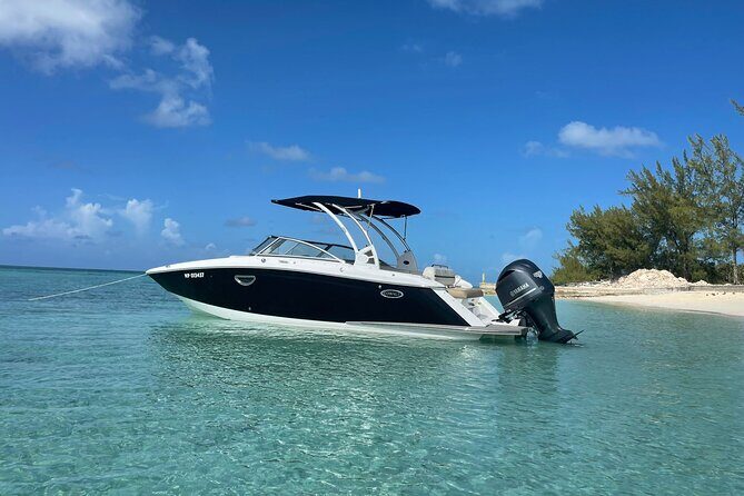 Full-Day Luxury Private Rose Island Pigs and Turtles Excursion - Pearl Island snorkeling: included gear, weather-dependent water