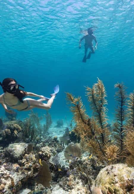 Full Day Sail and Snorkel with Turtles - Flying Cloud Catamaran Day: How the Schedule Actually Feels
