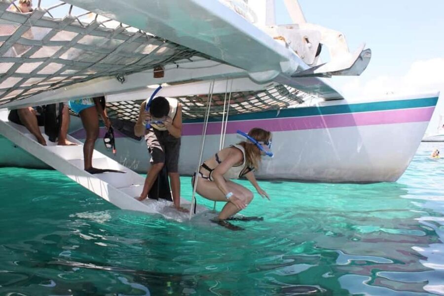 Full Day Sail and Snorkel with Turtles - Turtle Viewing from the Boat: Calm Watching Instead of Animal Encounters