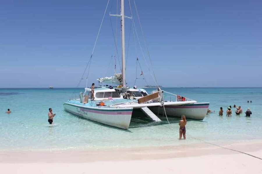 Full Day Sail and Snorkel with Turtles - Rose Island Beach Time and BBQ Lunch: Where the Day Gets Comfortable