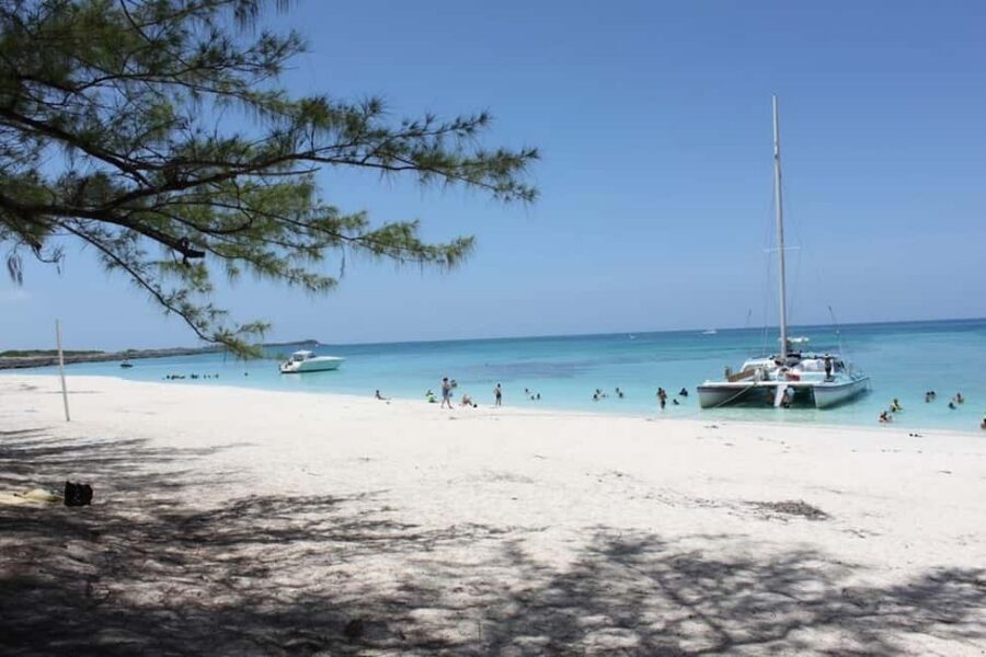 Full Day Sail and Snorkel with Turtles - Small Rules That Matter (More Than You Think)