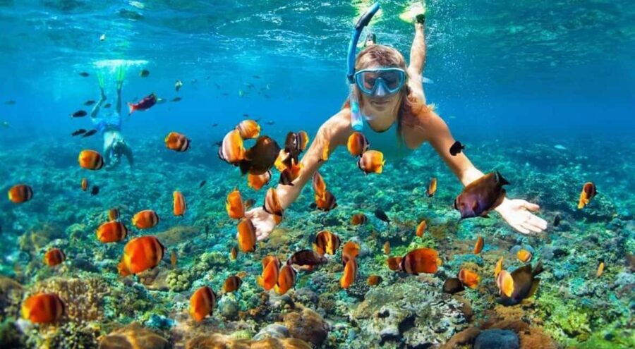 Full Day Sail and Snorkel with Turtles - Should You Book the Flying Cloud Sail and Snorkel?