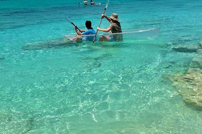 Guided All Inclusive Beach Day Excursion in Bahamas - The pig experience: feeding carrots, then watching them in the water