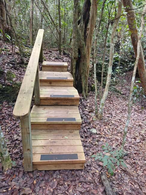 Guided Primeval Nature Walk Tour - Getting to the tour: cruise-port timing that actually works
