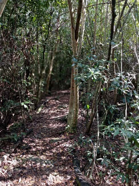 Guided Primeval Nature Walk Tour - Arawak Cay conch show: food that doubles as culture
