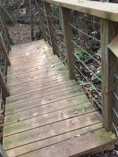 Guided Primeval Nature Walk Tour - Duration and value: is $140 really fair for a cruise day?