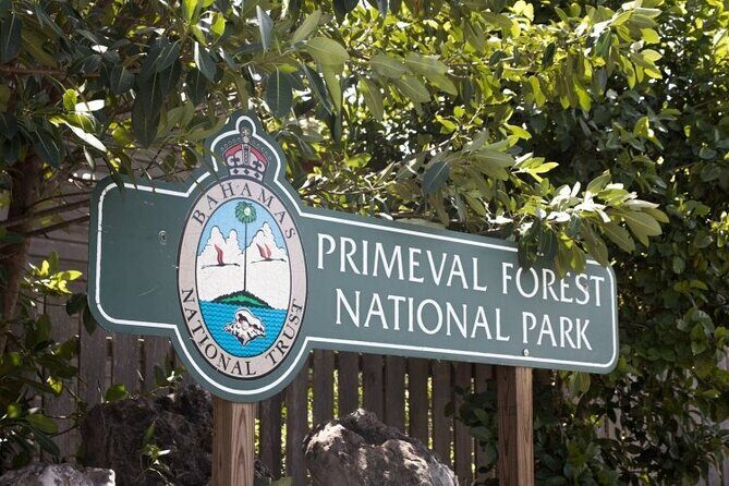 Guided Primeval Nature Walk Tour in Primeval Forest National Park - Key highlights worth knowing