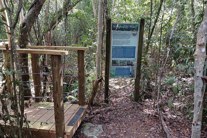 Guided Primeval Nature Walk Tour in Primeval Forest National Park - How this Nassau tour blends forest time with culture