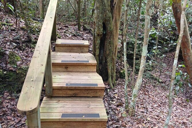 Guided Primeval Nature Walk Tour in Primeval Forest National Park - Stop 3: Clifton Heritage National Park and the Oldest Slave Village