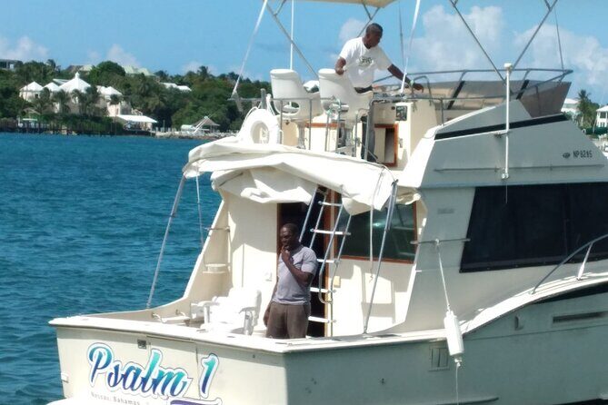 Half-Day at Green Cay Bahamas Snorkeling with Turtles - Rose Island for Lunch and Beach Time in Clear Water