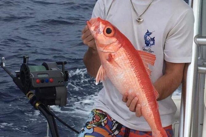 Half day Deep sea/light tackle fishing charters - The Boat, the Crew, and the Reality of Sea Conditions