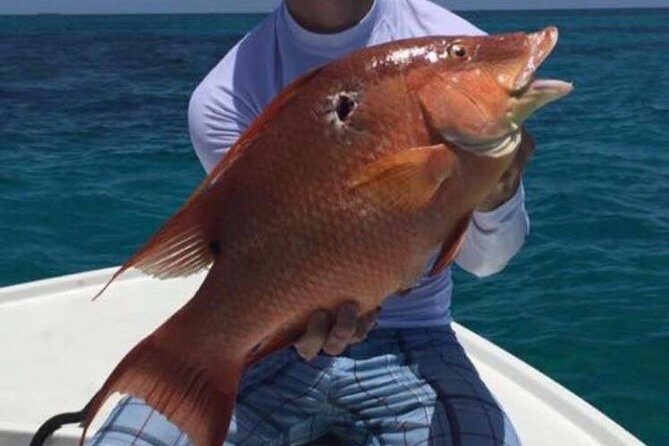 Half day Deep sea/light tackle fishing charters - Value for the Money: Is $920 Per Group Worth It?