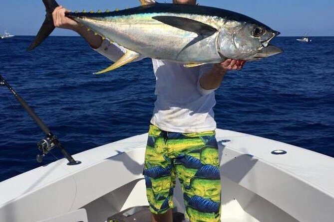 Half day Deep sea/light tackle fishing charters - Choose Your Fishing Style: Trolling, Deep Dropping, Light Tackle