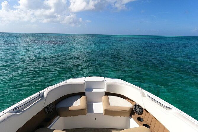 Half-Day Luxury Private Rose Island Pigs and Turtles Excursion - A private Nassau Harbour cruise with real waterfront variety