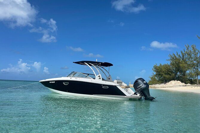 Half-Day Luxury Private Rose Island Pigs and Turtles Excursion - Swimming with pigs: optional, fun, and not included