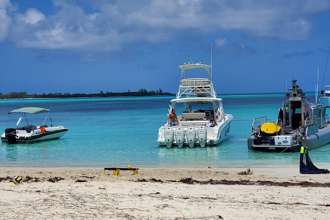 HALF DAY Swiming Pigs and Sharks Tour (Nassau to Exuma by Plane) - Step 3: Compass Cay and the Shark Spotting Hour