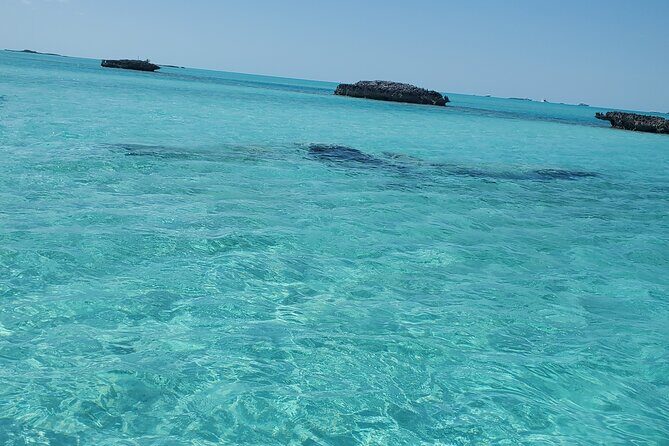HALF DAY Swiming Pigs and Sharks Tour (Nassau to Exuma by Plane) - Step 6: Great Exuma and BlackPoint Lunch, Real Island Food