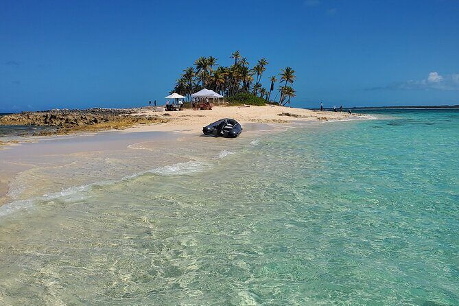 HALF DAY Swiming Pigs and Sharks Tour (Nassau to Exuma by Plane) - Step 7: Back to Nassau, End the Day Without Stress
