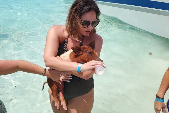 HALF DAY Swiming Pigs and Sharks Tour (Nassau to Exuma by Plane) - Step 1: Staniel Cay’s Yacht Club Area (Quick First Taste)