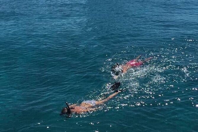 Honeymoon Harbour and The Sapona Day Trip - Stop 2: Honeymoon Harbour beaches, lighthouse paths, and sea life time