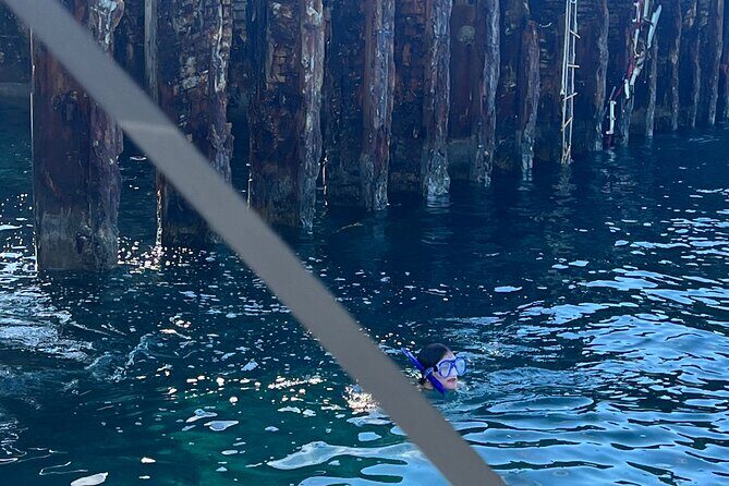 Honeymoon Harbour and The Sapona Day Trip - Snorkeling gear, floats, and staying comfortable for four hours