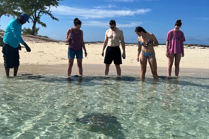 Honeymoon Harbour and The Sapona Day Trip - Stop 1: The Sapona snorkel, wreck time, and fish spotting