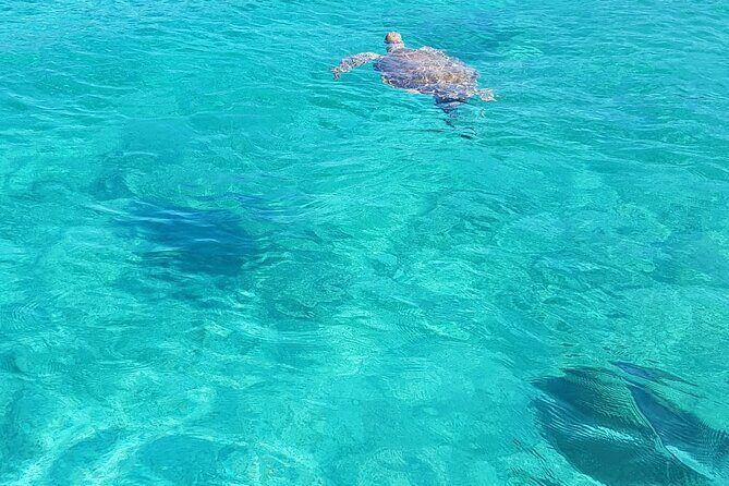 Honor Roll Private Bahamas Boat Charter - Athol Island Swimming Pigs: Fun Encounter With a Separate Fee