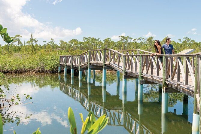Mamma Gal Celeb-Key Native Exp. Shared Tour - The route vibe: neighboring settlements, quick island peeks, and time to chill