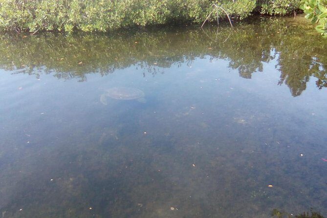 Mamma Gal East End Native Experience - Lucayan National Park: Caves, Mangrove, and Beach Walking Time