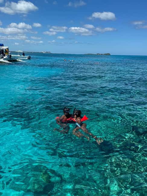 Nassau: 3-Island Snorkel Tour with Pigs, Beach Club, & Lunch - Green Cay sea turtles: where the snorkeling starts